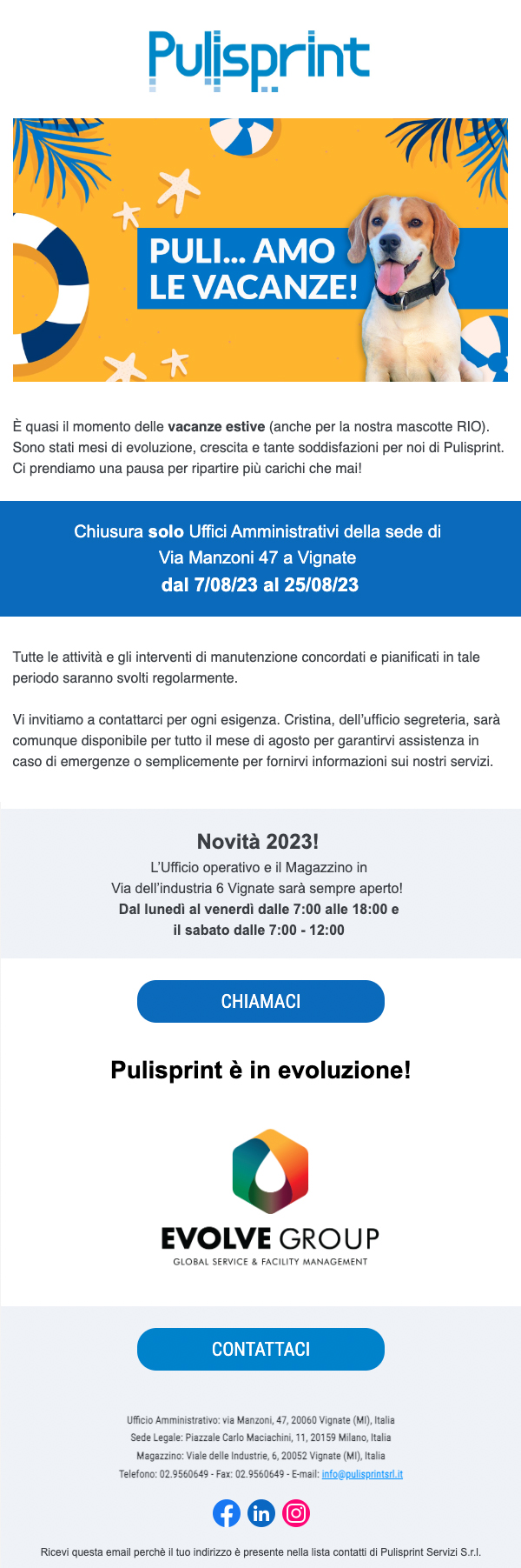 pulisprint-newsletter2